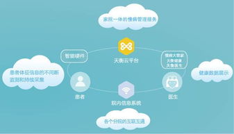 互聯(lián)網(wǎng)信息服務(wù)的演進與影響